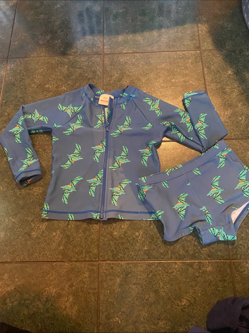 Teradactyl Rash Guard Set - Long Sleeve Zip Top & Swim Shorts Hanna Andersson
